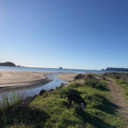 Buffalo Beach Luxury B N B Whitianga Kültér fotó