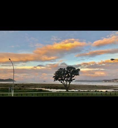 Buffalo Beach Luxury B N B Whitianga Kültér fotó